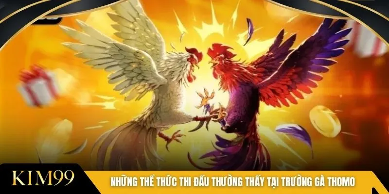 Những thể thức thi đấu thường thấy tại trường gà Thomo