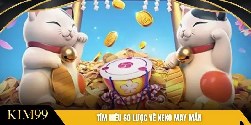 Tìm hiểu sơ lược về neko may mắn